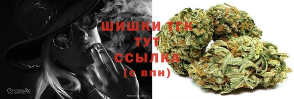 мдпв Вязьма