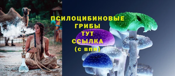 мдпв Вязьма